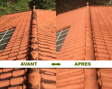 Le professionnel du nettoyage toiture du 83 à Saint Maximin la Sainte Baume et à Toulon